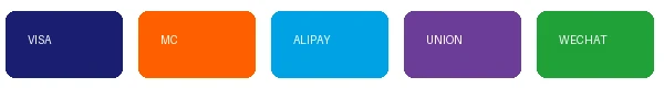 支持Visa、MasterCard、支付宝、银联、微信支付等多种支付方式
